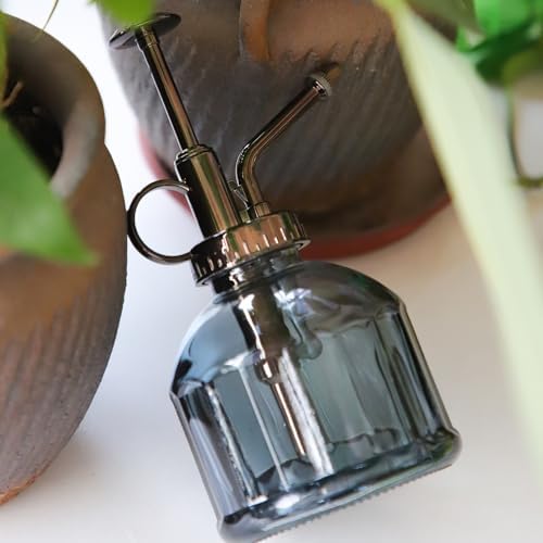 OFFIDIX Glass Plant Spray Bottle, Grey 6.7 oz Plant Mister for Inside Decor - Image 6