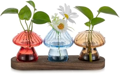 Glasseam 3Pcs Mushroom Propagation Station: Glass Terrarium Jar for Plants by Glasseam