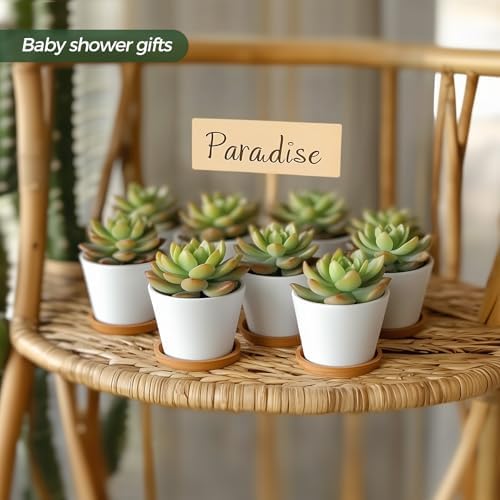 T4U Small Succulent Pots 12 Pack, Mini Flower Planters with Drainage White - Image 5