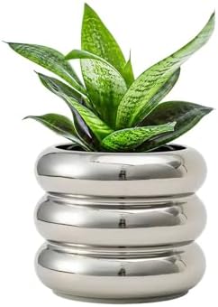 Ceramic Plant Pot Indoor, 4.5 Inch Flower Pot with Drainage Hole, Small Bubble Design Ceramic Planter for Home & Office Decor (Silver) by SANDYBAYTAS