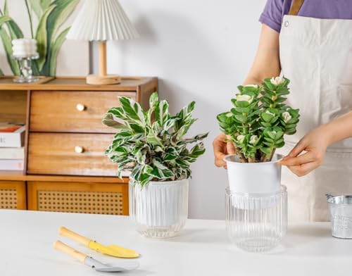 Melphoe Self Watering Pots for Indoor Plants Planter, 5.3 Inch 2 Pack Planters Self Watering Plant Pots for Flower, Houseplants, Succulent, African Violets and Cactus with Drainage - Image 3