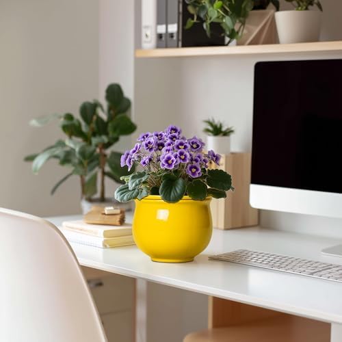 Ceramic Self Watering Planters, 6 Inch African Violet Pots for Indoor Outdoor Plants, Ceramic Plant Pot with Absorbent Inner Pot, Round Flower Pots, Living Room Decor, Gifts for Women, Yellow - Image 3