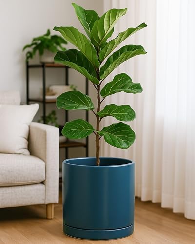 D'vine Dev 12 Inch Ceramic Planter Pot, Teal, 94-O-F-9 - Image 2