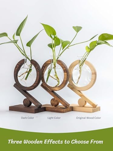 Glass Plant Propagation Station with Wooden Stand, Dark Burnt Wood - Image 6