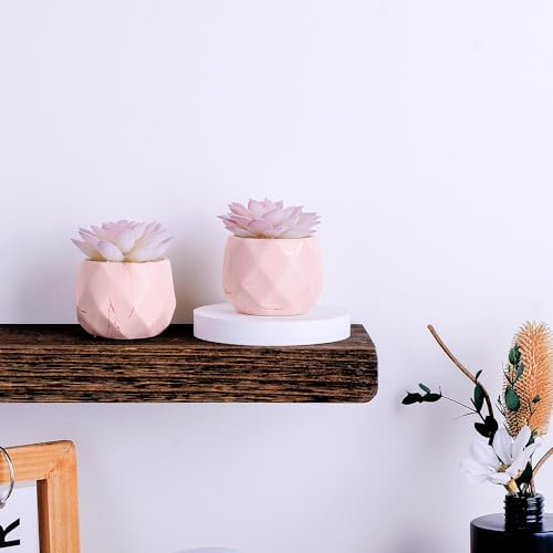 ZENIDA Artificial Succulent Plants in 2 Pink Ceramic Pots, Cute Fake Plants for Vanity Decor,Office, Desk, Bathroom, Kitchen,Bedroom, Shelves Decor for Women,Girls Gift - Image 6