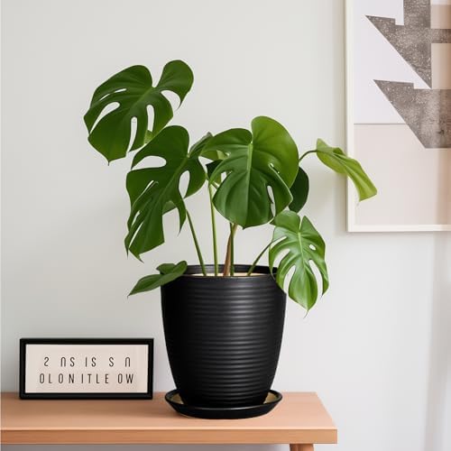 Ceramic Plant Pot - 8 Inch Ceramic Planter for Indoor Plants Glazed Round Flower Pot with Drainage Hole and Saucer Black - Image 2
