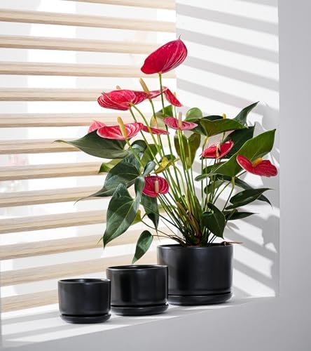 Flower Pots,Ceramic Pots with Drainage Holes & Saucer Set of 3(Matte Black) - Image 5