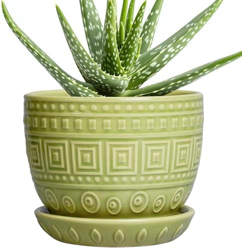 G EPGardening Ceramic Pots for Plants 5.5 Inch Round Ceramic Planter, Green by GEPGardening