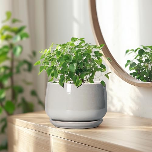 G EPGardening Ceramic Plant Pots, 7 Inch Plant Pot, Light Grey - Image 6