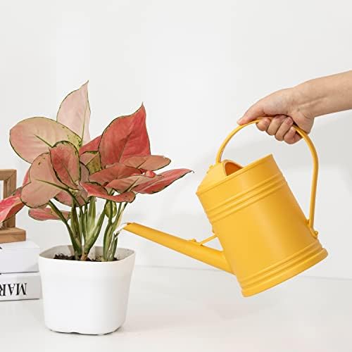 Plastic Indoor Watering Can with Detachable Sprinkler Head - 68oz (1/2 Gallon) for House Plants and Flowers - Image 3