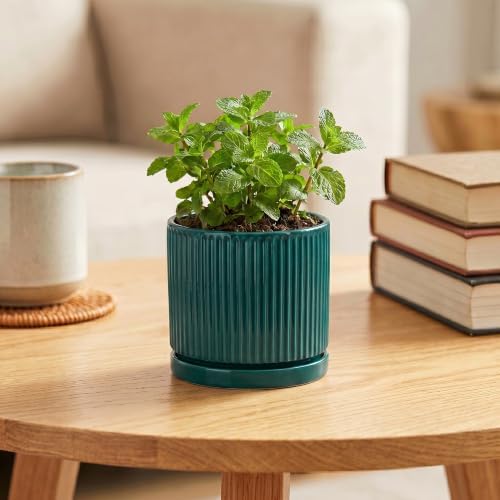 4 Inch Ceramic Pots for Plants, Plant Pots with Tray, Blackish Green - Image 4