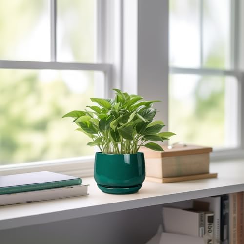 G EPGardening 4 inch Plant Pots - Small Ceramic Planter with Drainage Hole & Tray, Succulent Pots Indoor Outdoor, Round Modern Planter, Decorative Flower Pot, Desk Decor, Gifts for Plant Lover, Green - Image 6