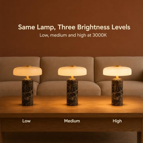 Brown Cordless Rechargeable Marble Table Lamp with Glass Shade - Image 5