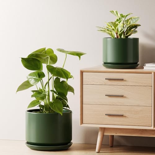 LE TAUCI Ceramic Plant Pots, Set of 2, 8+10 Inch Plant Pots Indoor with Drainage Hole & Saucer, Sturdy Planters for Indoor Plants, Modern Minimalist Decor for Snake Plant, Monstera, Forest Green by LETAUCI