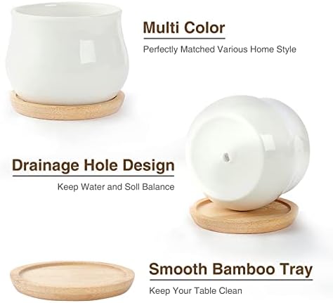 SHECIPIN 12 Pack Succulent Plant Pot, Mini 2.6 inch Ceramic Flower Planter Pot with Bamboo Tray, Small Pots for Plants, Plants Not Included （White, Black） - Image 2
