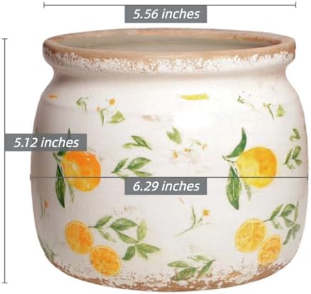 Lemon Ceramic Planter, Italian Mediterranean Flower Pot for Indoor Plants - Image 6