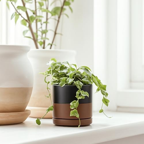 D'vine Dev 3.5 Inch Ceramic Planter Pot, Black/Tan, 94-O-A-7 - Image 3