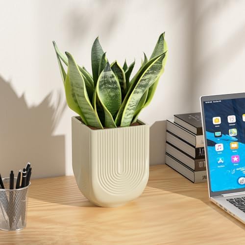 Ceramic Planter, 6 Inch Square Plant Pot with Drainage, Ivory - Image 3