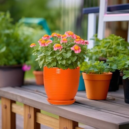 6 Inch Ceramic Plant Pots with Drainage Hole and Saucer, Orange - Image 4