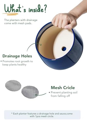LE TAUCI Plant Pots, 4.1+5.1+6.5 inch, Set of 3, Ceramic Planters with Drainage Hole and Saucer, Indoor Flower Pot with Hole Mesh Pad, Gifts for Mom, Sapphire Blue - Image 5