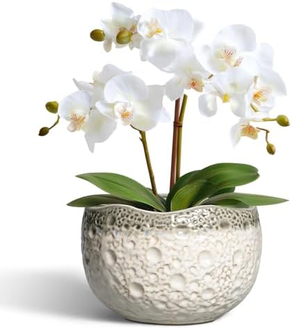 Ceramic Pots for Plants, 6 Inch Plant Pot Indoor, Beige-Grey by Thirtypot