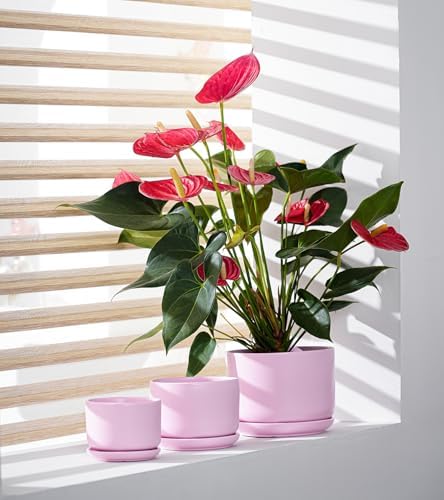 Plant Pots,Ceramic Planters with Drainage Holes&Saucer Set of 3(Matte Pink) - Image 4