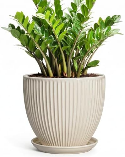Ceramic Plant Pots, 10 Inch Pots for Plants with Drainage Hole and Saucer, Round Flower Pot for Indoor Plants, Decorative Indoor Planter, House Porch Decor, House Warming Gifts, Cream White by Unknown