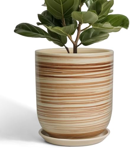 Ceramic Planter 10 Inch - Ceramic Pots for Indoor Plants Outdoor Large Plant Pot with Drainage Hole and Saucer Cylinder Flower Pot Yellow by SUNPOTFOR