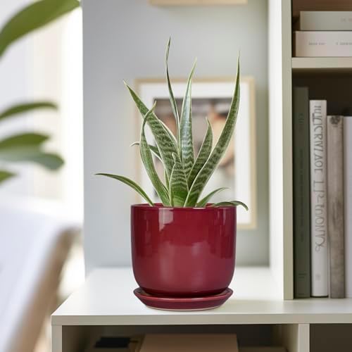 Ceramic Plant Pot - 5 Inch Modern Round Planter for Indoor Plants with Drainage Hole and Saucer, Patio Office House Room Bathroom Decor, Red - Image 5