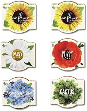 BUZZY Seeds Daydream Grow Kit 6-Pack, Terracotta Pots, Assorted Flowers - Image 2