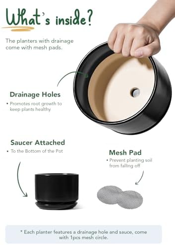 LE TAUCI Ceramic Pots for Plants, 6.8 Inch Plant Pots with Drainage Hole & Saucer, Modern Planter for Indoor Plants, Stable & Durable, Perfect for Living Room or Office Decor, Black - Image 3