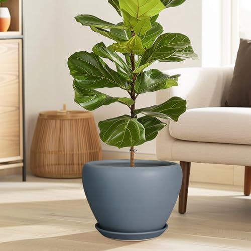 Ceramicfor 10 Inch Plant Pot, Ceramic Planter, Matte Gray - Image 2