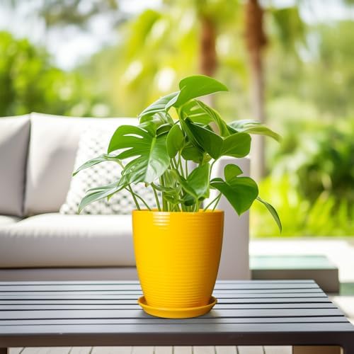 Ceramic Plant Pot - 8 Inch Planter Pot with Drainage Hole and Saucer Round Planter for Indoor Outdoor Plants Flower Pot for Home Patio Garden Office Yellow - Image 5