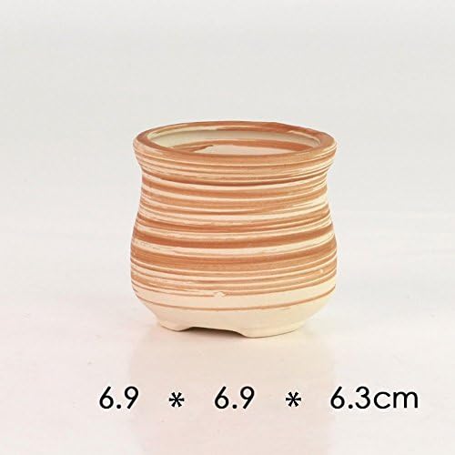 2.5-3" Succulent Pots, Ceramic Wood Pattern Cactus Planters Set, 6 Pack - Image 5