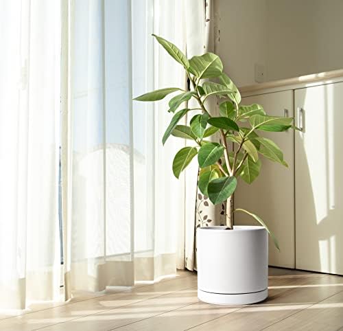 D'vine Dev 12 Inch Ceramic Planter Pot, White, 94-O-F-1 - Image 6