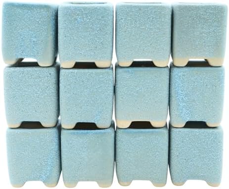 12-Pack 1.6" Modern Square Succulent Pots with Large Drainage Hole - Rustic Morandi Stone Textured Ceramic Planters, Mini Pots for Air Plants, Fairy Gardens (Slate Blue) by Unknown