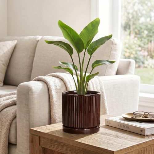 Ceramic Plant Pots, 6 Inch Pots for Plants, Round Planter, Brown - Image 5