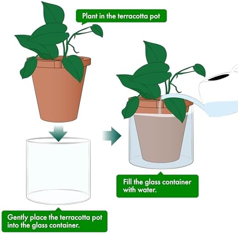 D'vine Dev Self Watering Terracotta Planter Pot, 8 in, 37-X-C-1 - Image 4