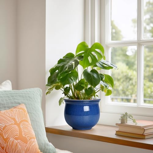 6 Inch Self Watering Pots, Ceramic African Violet Planter with Absorbent Inner Pot, Round Flower Pot for Indoor Plants, Ceramic Pots for Plants, Room Home Decor, Plant Lover Gifts, Blue - Image 4