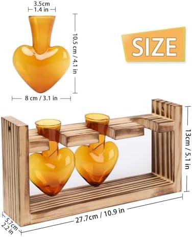 Plant Terrarium Propagation Stations Hydroponics - Image 4
