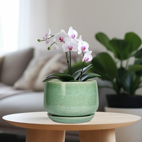 G EPGardening Ceramic Plant Pot - 7 Inch Ceramic Planter for Indoor Outdoor Plants, Flower Pot with Drainage Hole and Tray, Modern Round Planter, Plants Lovers Gifts, Home Garden Decor, Green - Image 2