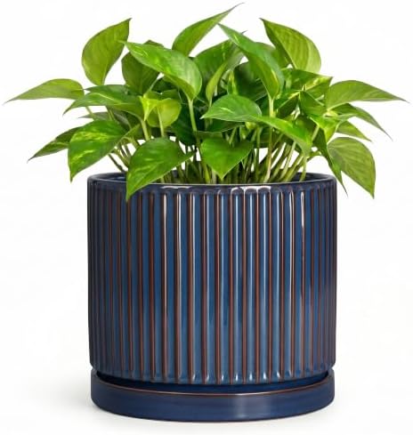 Ceramic Plant Pots, 6 Inch Indoor Pots for Plants, Retro Blue by Unknown