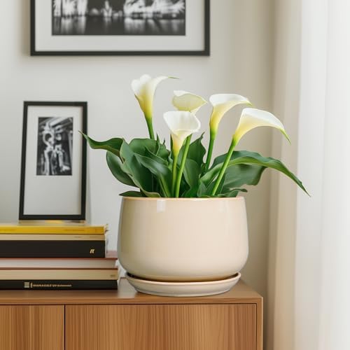 G EPGardening Ceramic Plant Pots - 9 Inch Round Planter, Ceramic Flower Pots with Drainage and Saucer, Modern Indoor Outdoor Planter, Room Decor, Home Gifts, Beige - Image 6