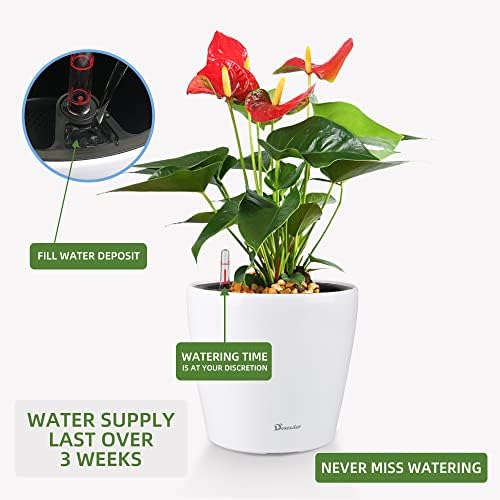 Dexceder 11x10 Self Watering Planter (White High Gloss) - Image 4