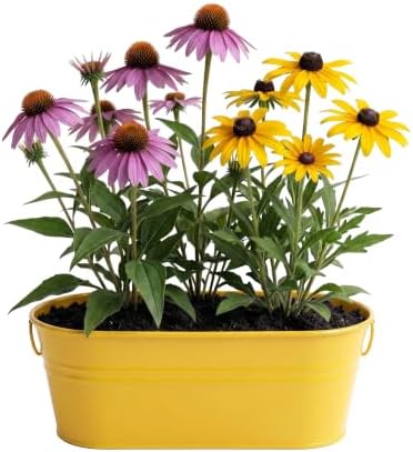 Buzzy Seeds Coneflower & Black-Eyed Susan Grow Kit, Metal Planter - Image 2