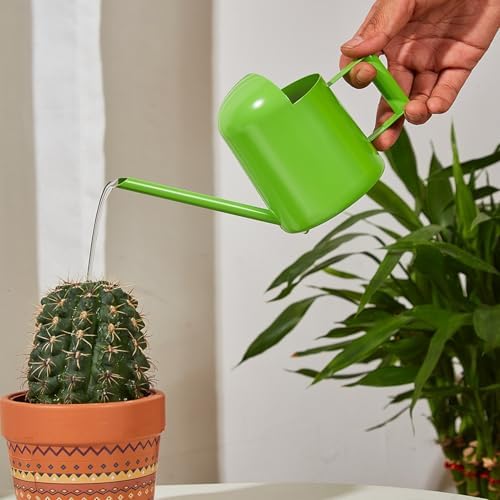 Mini Watering Can Stainless Steel Long Spout 10oz/300ml Small Watering Can for Indoor Desk Plants Outdoor Flowers Succulents Garden Watering Pot Gardening Tool (Green) by Luxmars