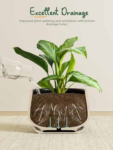 LE TAUCI Plant Pots, 4.1+5.1+6.5 inch, Set of 3, Ceramic Planters with Drainage Hole and Saucer, Indoor Flower Pot with Hole Mesh Pad, Gifts for Mom, Black - Image 4