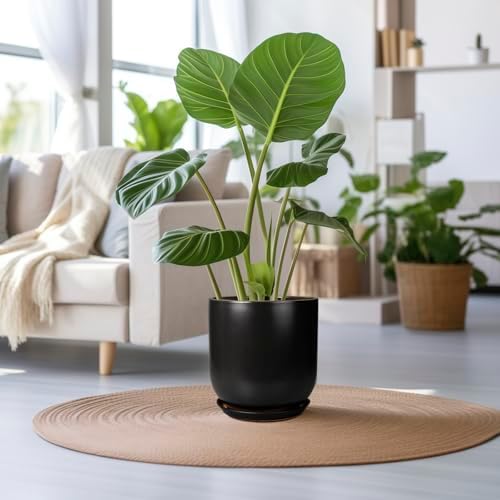 Ceramic Planter Pot - 12 Inch Large Plant Pot with Drainage Hole and Saucer Modern Flower Pot for Indoor Outdoor Plants Home Garden Decor Black - Image 2
