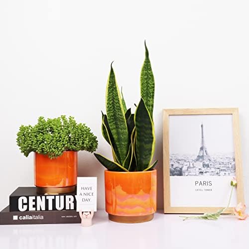 Gepege Ceramic Plant Pots for Indoor Plants, Planters with Drainage Holes - Image 4