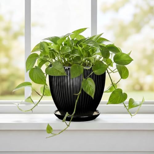 6 Inch Ceramic Planter, Indoor Plant Pots for Small Plants, Decorative Flower Pots with Drainage Hole and Saucer, Round Pot for Plants, Office Bathroom Decor, Gifts for Plant Lovers, Black - Image 5